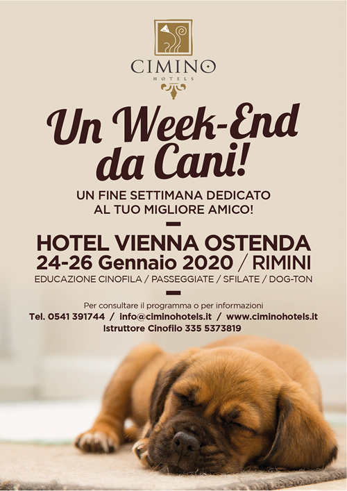 Locandina Week-end da cani Rimini Hotel Vienna Ostenda
